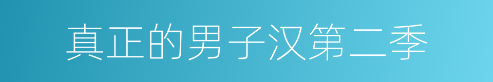 真正的男子汉第二季的同义词