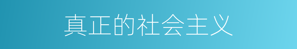 真正的社会主义的同义词