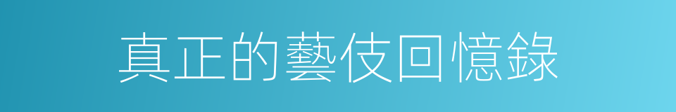 真正的藝伎回憶錄的同義詞