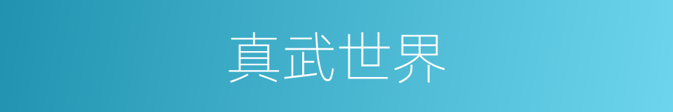 真武世界的同义词
