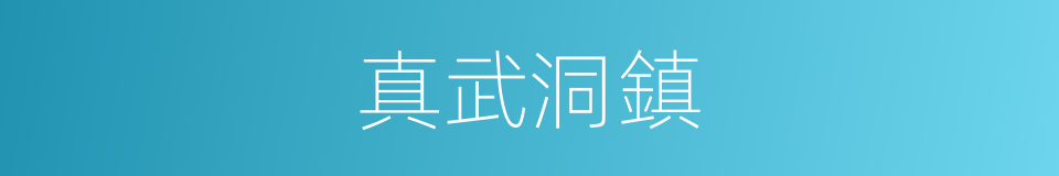 真武洞鎮的同義詞
