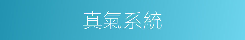 真氣系統的同義詞