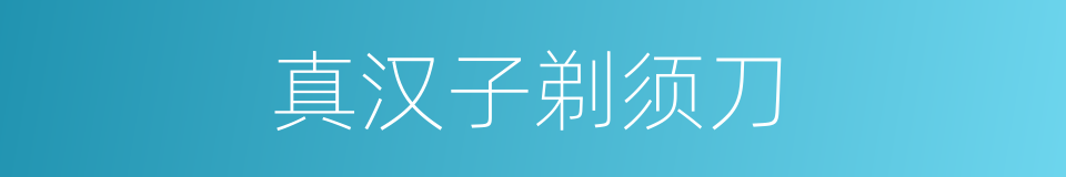 真汉子剃须刀的同义词