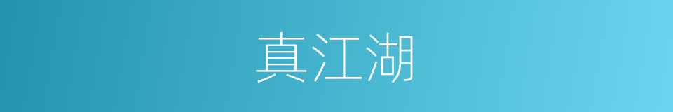 真江湖的同义词