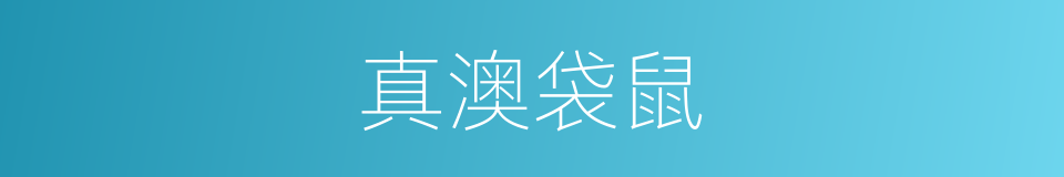 真澳袋鼠的同义词