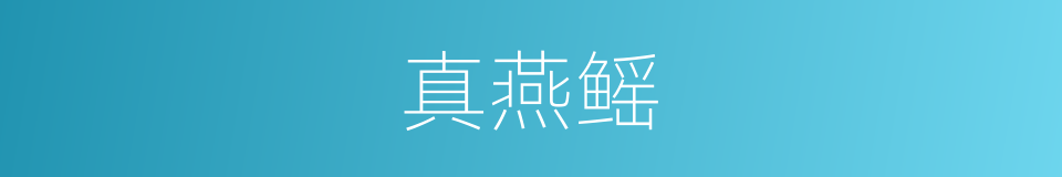 真燕鳐的同义词