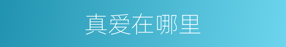 真爱在哪里的同义词