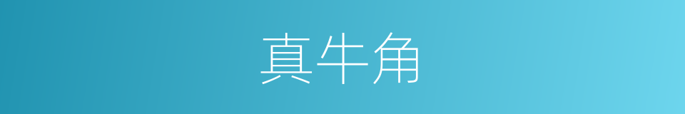 真牛角的同义词