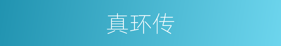 真环传的同义词