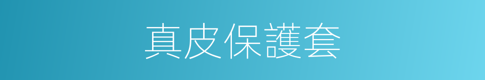真皮保護套的同義詞