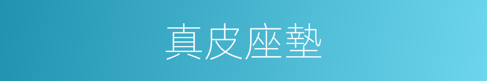 真皮座墊的同義詞