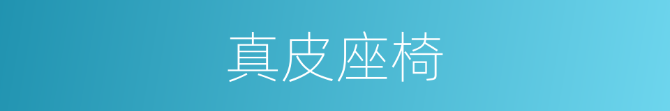 真皮座椅的同义词