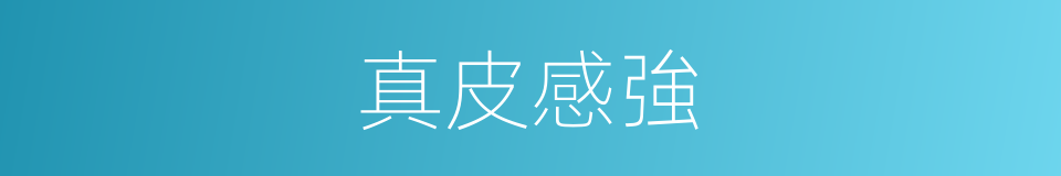 真皮感強的同義詞