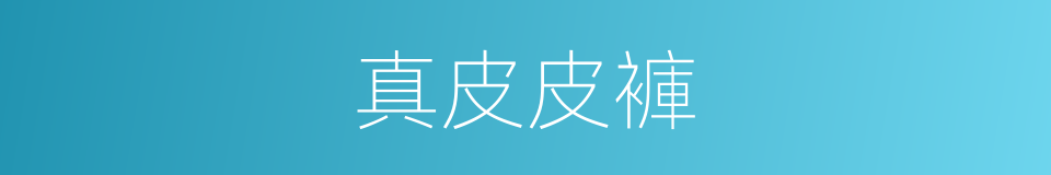 真皮皮褲的同義詞
