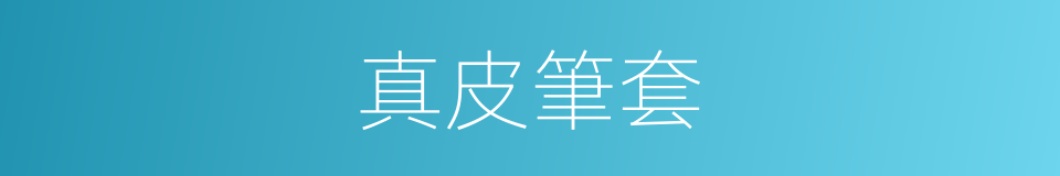 真皮筆套的同義詞