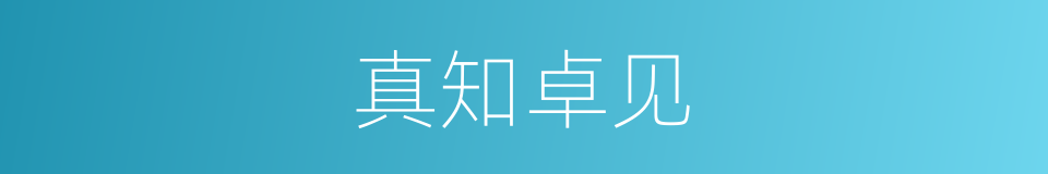 真知卓见的意思