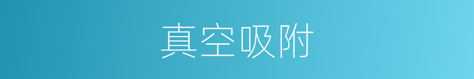 真空吸附的同义词