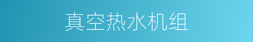 真空热水机组的同义词