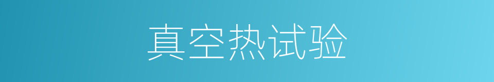 真空热试验的同义词