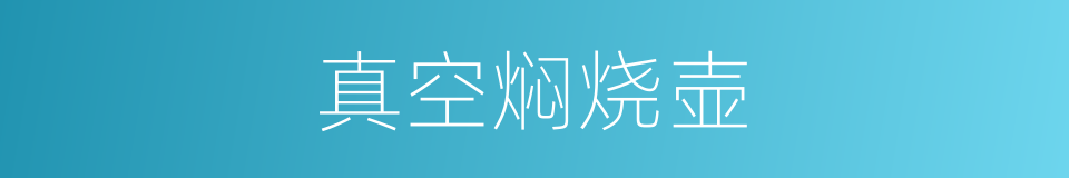 真空焖烧壶的同义词