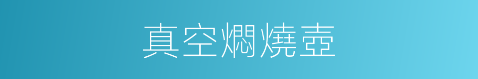 真空燜燒壺的同義詞