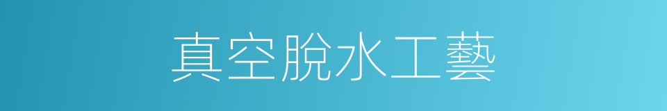 真空脫水工藝的同義詞