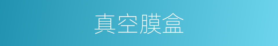 真空膜盒的同义词