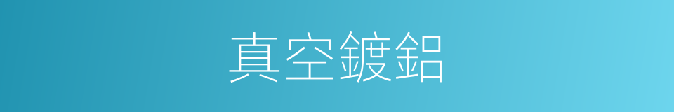 真空鍍鋁的同義詞