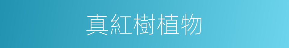 真紅樹植物的同義詞