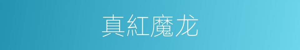 真紅魔龙的同義詞
