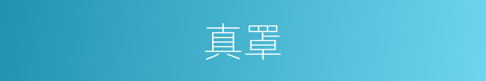 真罩的同义词