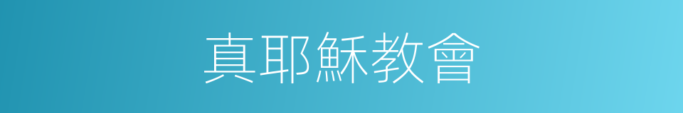 真耶穌教會的同義詞