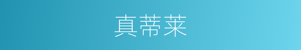 真蒂莱的同义词