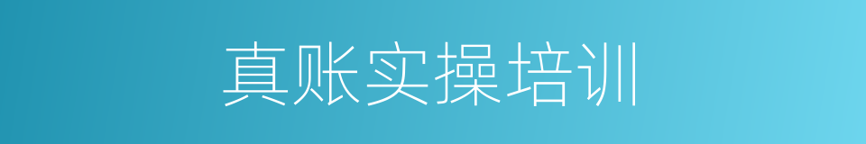真账实操培训的同义词