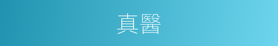 真醫的同義詞