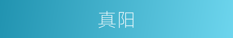 真阳的意思
