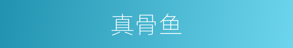 真骨鱼的同义词