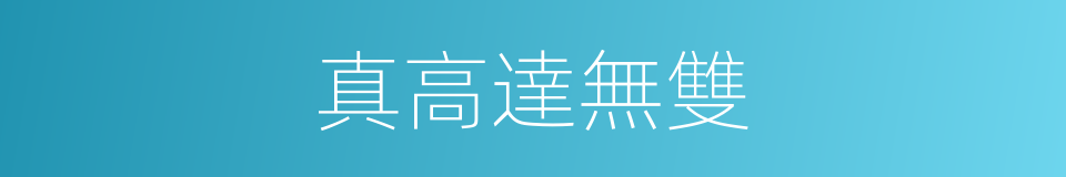 真高達無雙的同義詞