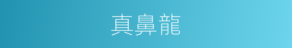 真鼻龍的同義詞