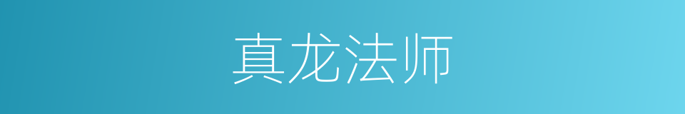 真龙法师的同义词