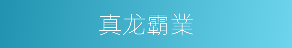 真龙霸業的同義詞