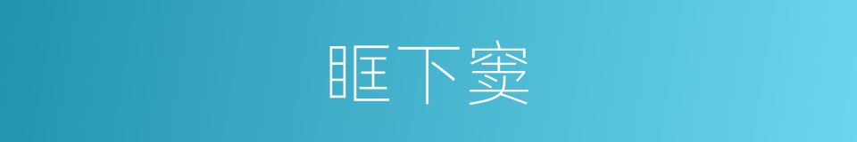 眶下窦的同义词
