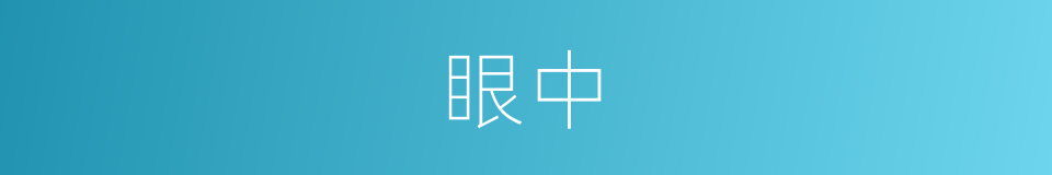 眼中的意思