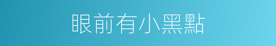 眼前有小黑點的同義詞