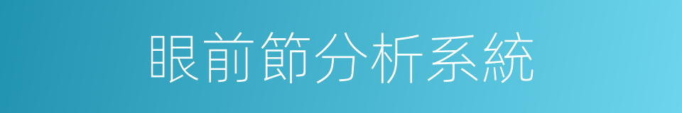 眼前節分析系統的同義詞