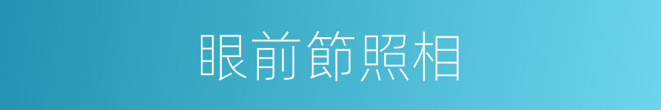眼前節照相的同義詞