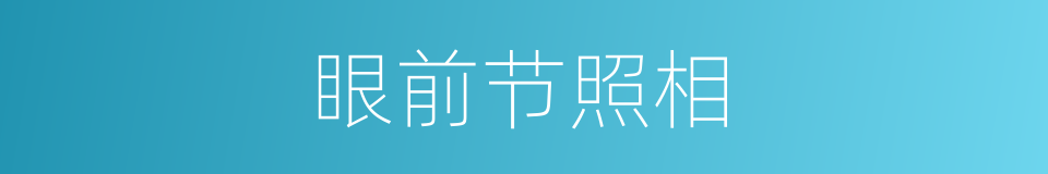 眼前节照相的同义词