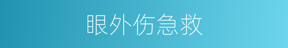 眼外伤急救的同义词