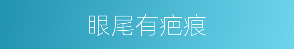 眼尾有疤痕的同义词