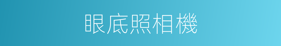 眼底照相機的同義詞